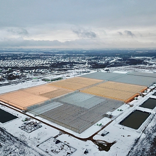 Шум, свет запах фенола беспокоит жителей ближайших к теплицам деревень 1
