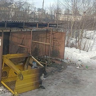 Мусорные вандалы завелись на Бору 2