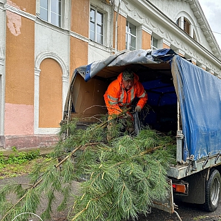 Новая Аллея появилась на Бору 8
