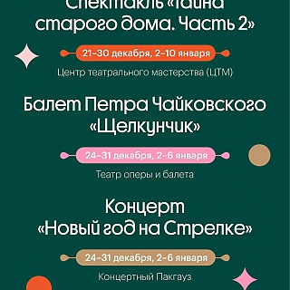 Новогодняя афиша в Нижнем Новгороде 1