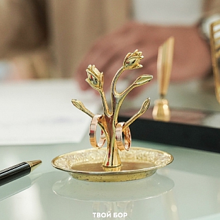 10 новых семей появилось на Бору 7