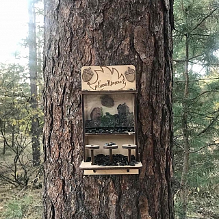 Завершаются работы по благоустройству территории в районе памятника М. Горькому и Ф. Шаляпину 3