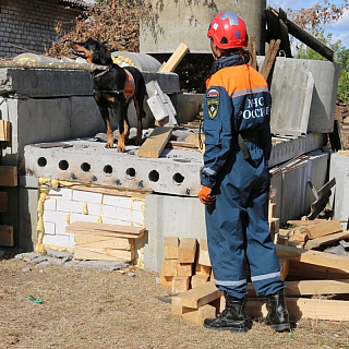 Рухнувший дом, поиск и спасение людей из-под завалов: завершился первый день Всероссийских сборов спасателей на Бору 2