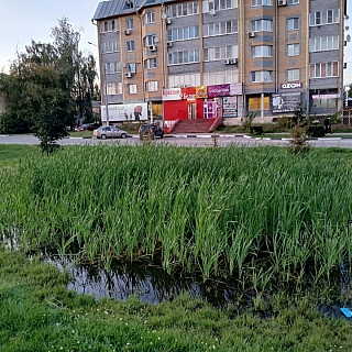 Пост гнева от подписчика 1