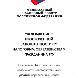 Борчанка предупредила о мошенниках 3