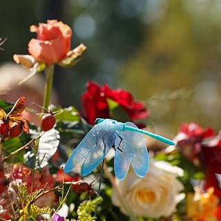 Центр Бора утонул в цветах 5