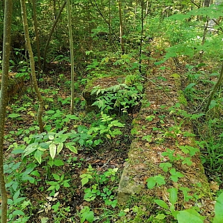 Могилы пленных немцев на Бору 2