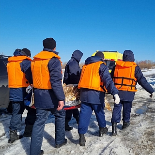 Спасательная операция развернулась на Волге около парома 1