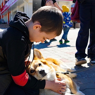 Хвостатый праздник: фестиваль «Мир собак» на площади ЦВР «Алиса» 4