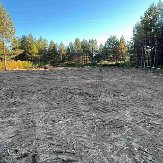 Алексей Боровский: 1