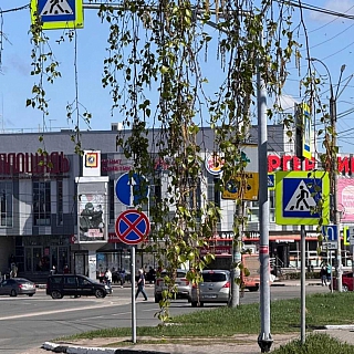 В посёлке Большое Пикино прошел легкоатлетический пробег "Борские версты" 10