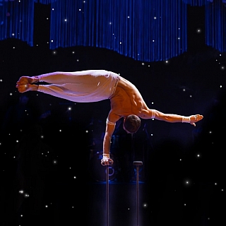 с 14 по 23 мая гастроли Омского цирка-шапито "ФАРАОН" в городе Бор 6