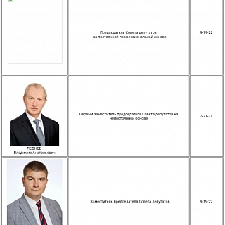 Важное политическое решение ждёт борский Совдеп 1