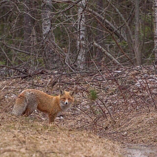 Итоги 2019 года: номинация "Чудо природы" 8