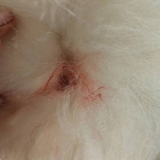 Страшные истории из Неклюдово 2