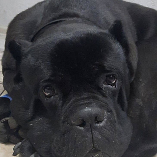 Печальная история от нашей подписчицы 1