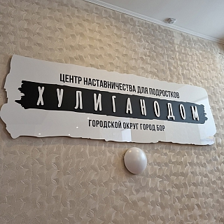 На Бору состоялось открытие Хулиганодома 1