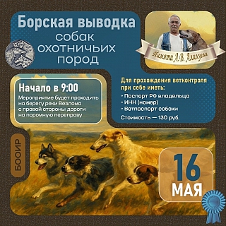 Любители собак, вы тут? 1