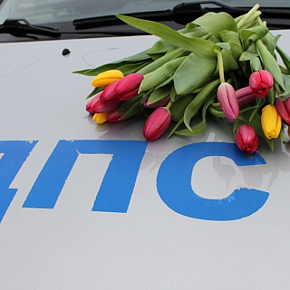 Борские сотрудники ДПС совместно с Общественным советом заступили в цветочный патруль 5