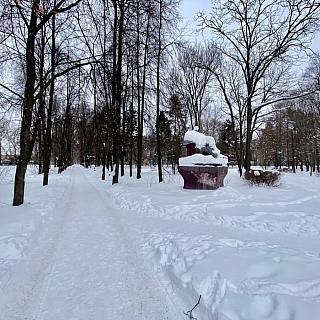 Нужно ли благоустройство городского парка на Бору? 1