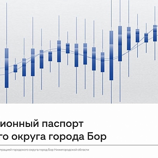 У Бора есть инвестиционный паспорт 10