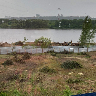 В микрорайоне Прибрежный вырубается берёзовая роща 3