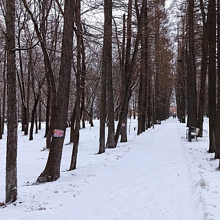 Реклама сервиса наркоты и закладок в Семейном Парке? 2