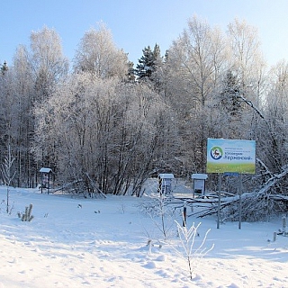 Всемирный день снега отметили в Керженском заповеднике 7