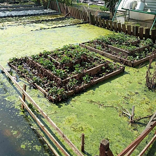 Борчане просят о помощи 1