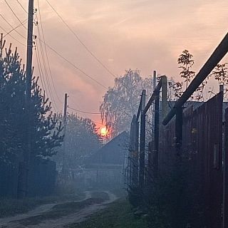 Ситники задыхаются от торфяного дыма 5