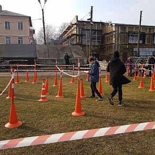 Соревнования по спортивному ориентированию пошли на Бору 3