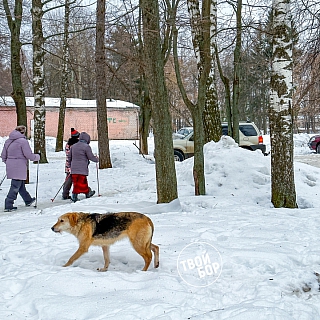В подарок городу Бор - парк! 2