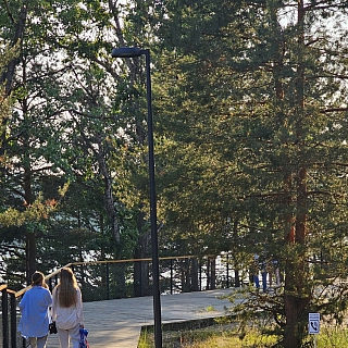 На Моховых новый знак, который уже сломали 2