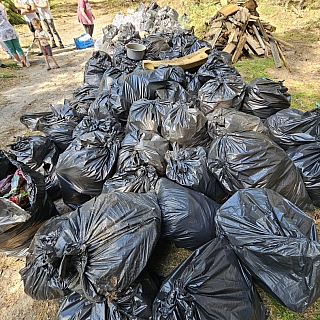 Кто же догадался сделать это в борском лесу? 6