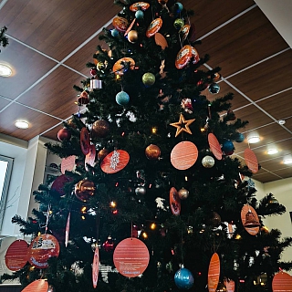 На Бору стартовала ежегодная благотворительная акция «Мандарин» 3