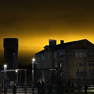 Борские теплицы способствуют творчеству 6