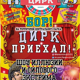 с 14 по 23 мая гастроли Омского цирка-шапито "ФАРАОН" в городе Бор 1