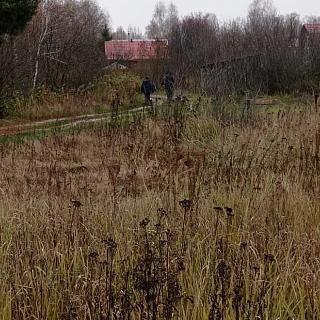 В Кантаурово бесследно пропала женщина 1