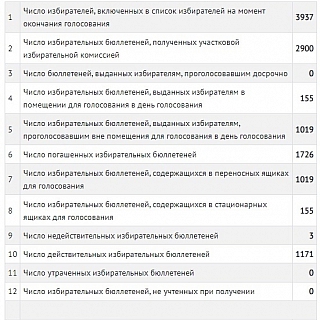 На Бору подвели итоги довыборов в Совет депутатов 1