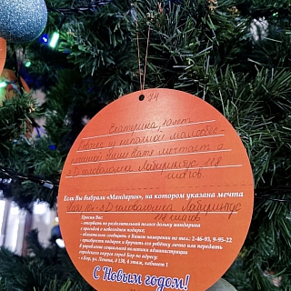 На Бору стартовала ежегодная благотворительная акция «Мандарин» 2