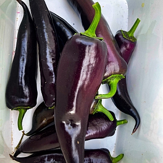 И всё-таки в глобальном потеплении есть свои преимущества 2