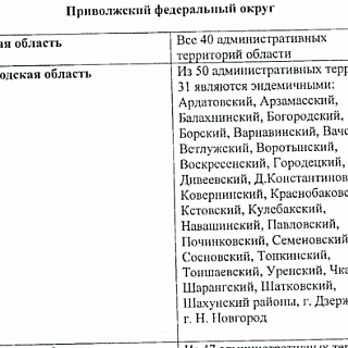Роспотребнадзор внес город Бор в перечень эндемичных территорий по клещевому вирусному энцефалиту 2