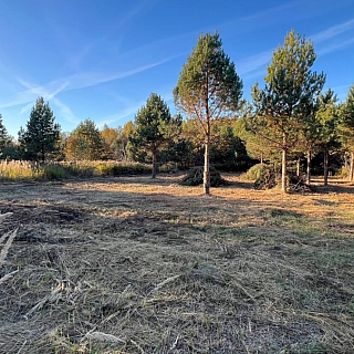 Алексей Боровский: 3