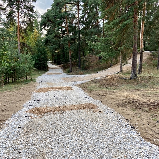 Душа Бора распилена и залита бетоном 6