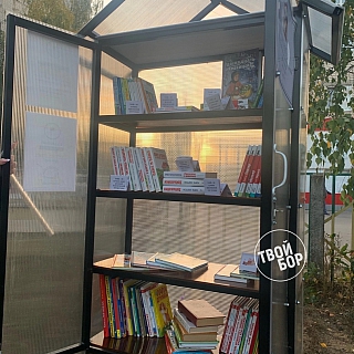 Доброта на Бору 1