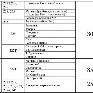 С 1 декабря на Бору повышается плата за проезд в автобусах 1