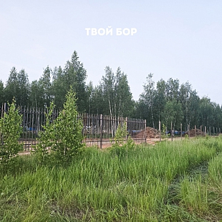 На Бору появится «Россия в миниатюре»! 2