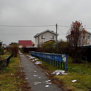 Почтовый потрошитель в Боталово-3 раскидал всю корреспонденцию 1