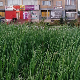 Пост гнева от подписчика 3