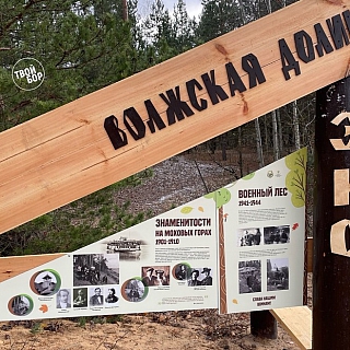 На Моховых появилось кое-что интересное 1